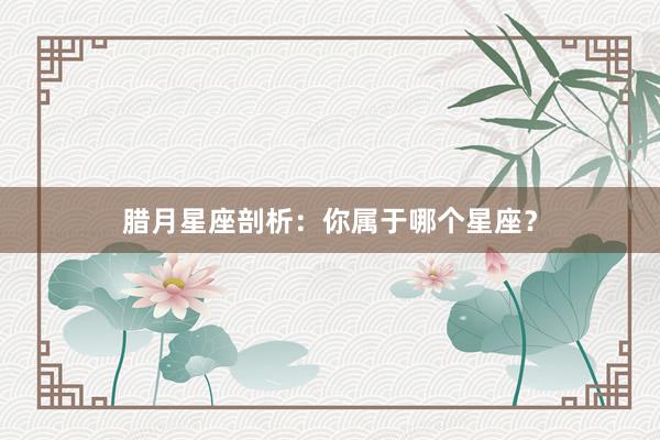 腊月星座剖析：你属于哪个星座？