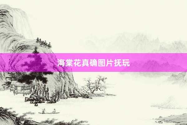 海棠花真确图片抚玩